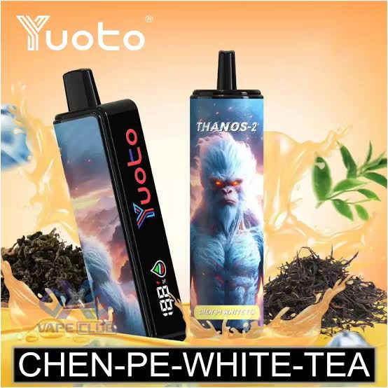 Youto chen pi white tea 10k Puffs Vape Shop Kerala Disposable Vape